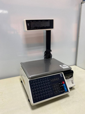 Весы с печатью DIGI SM-100 Р. А922