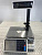 Весы с печатью DIGI SM-100. 2064