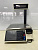 Весы с печатью DIGI SM-100 Р. А169
